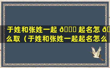 于姓和张姓一起 🐞 起名怎 🐠 么取（于姓和张姓一起起名怎么取网名）